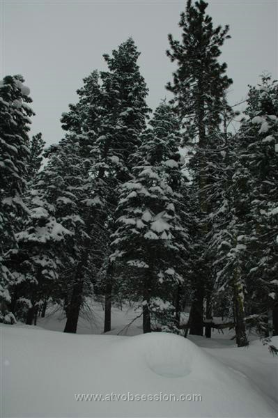 019. Fluffy pillows...all day long..jpg