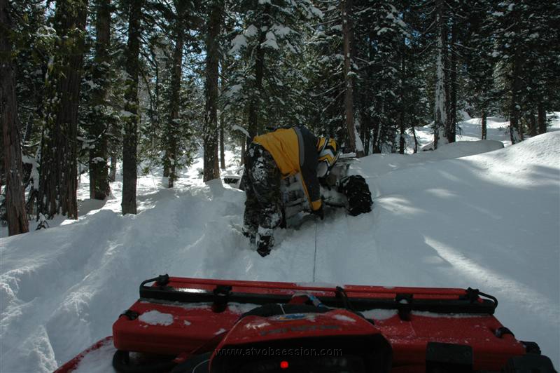 043. She's out...jpg