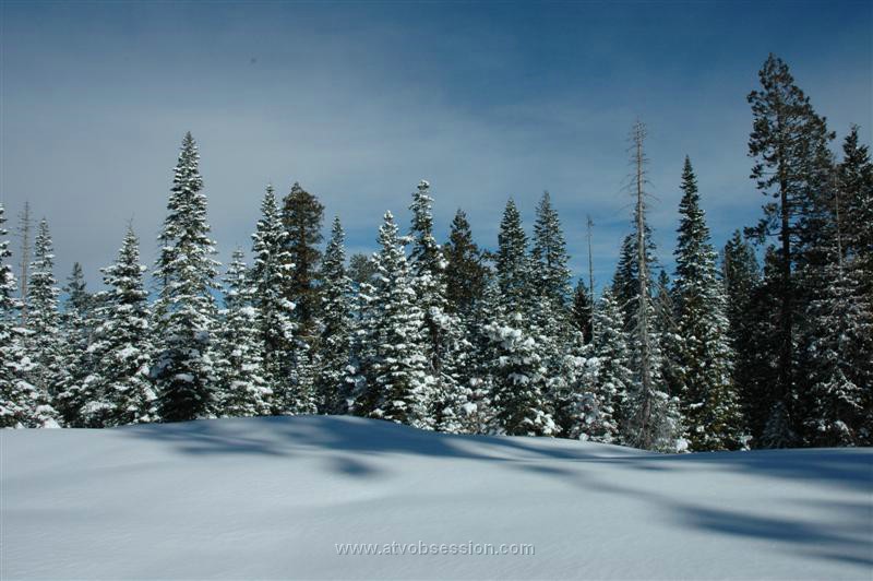 050. Perfect snow....now let's f### it up!.jpg