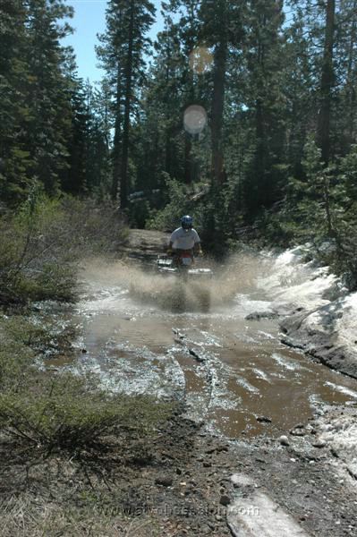 05. Dusty Dawgs It Through And Ends Up Stuck On The Other End..jpg