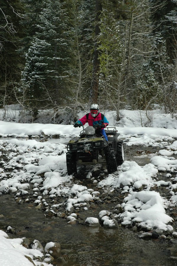 54. It's hypnotizing..jpg