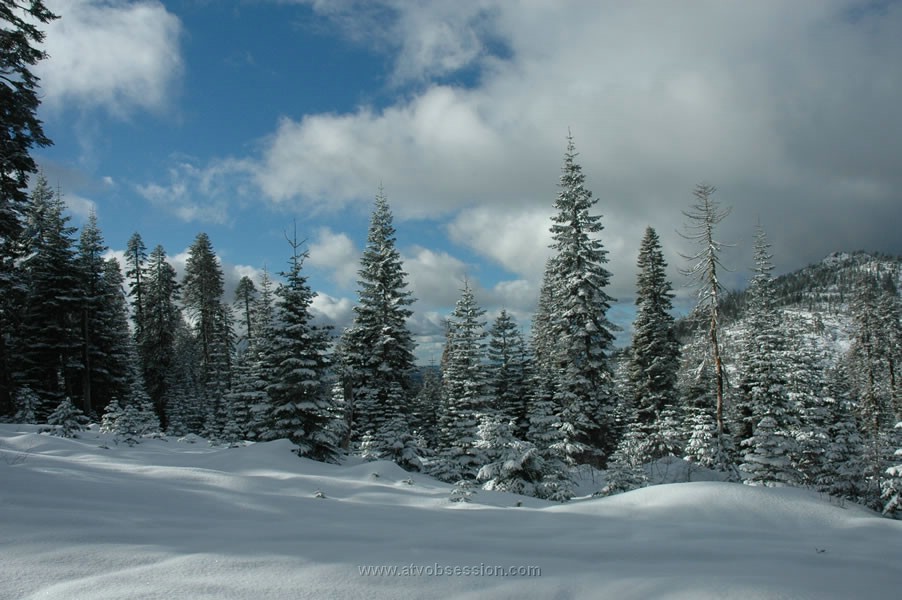 62. And now..time for some Ansel Albaugh shots..jpg