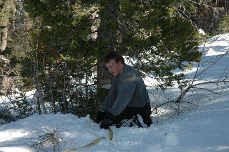 37. As Dan Wraps a Tree With a Strap..jpg