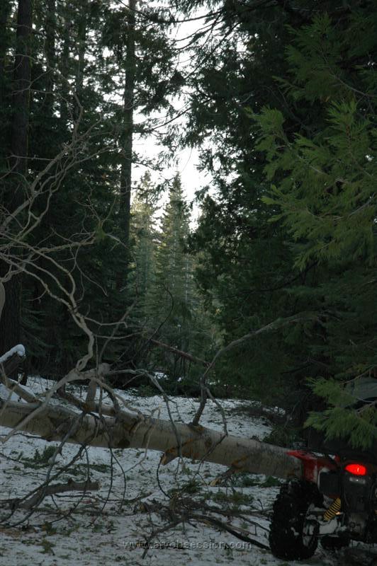 61. Too Big, Can't Drive Through It!.jpg