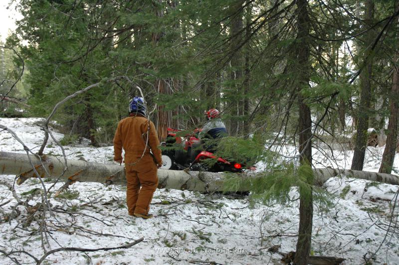 65. He's Over It..jpg