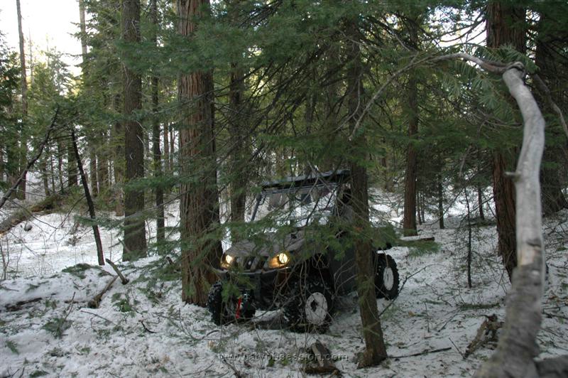 66. Next It's The Rhino..jpg